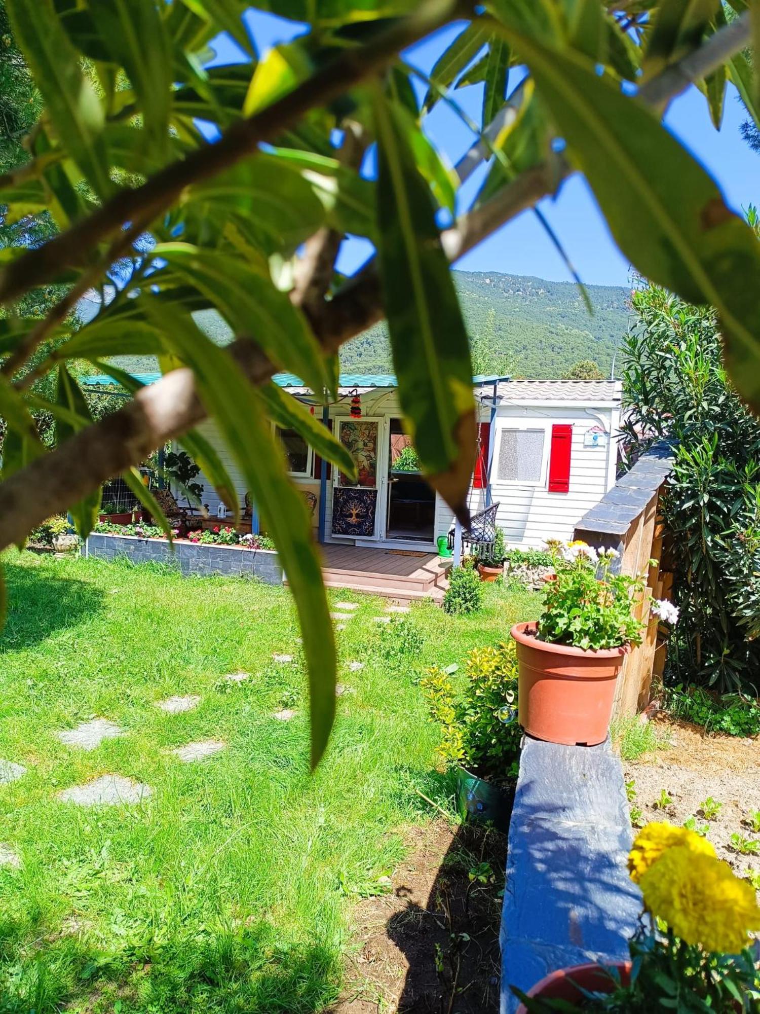 Villa Ardilla Ла-Адрада Екстер'єр фото
